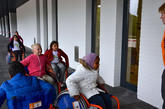 werken als een paard 3e editie Gehandicaptensport web