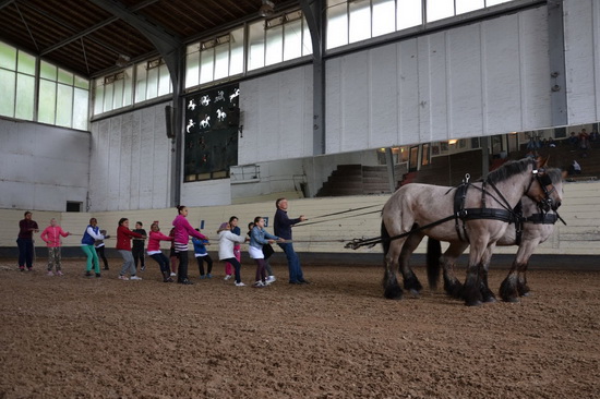 werken als een paard 3e editie web 1