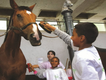 Werken als een paard 2016