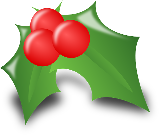 55-Plus activiteiten december 2016 in Kralingen-Crooswijk