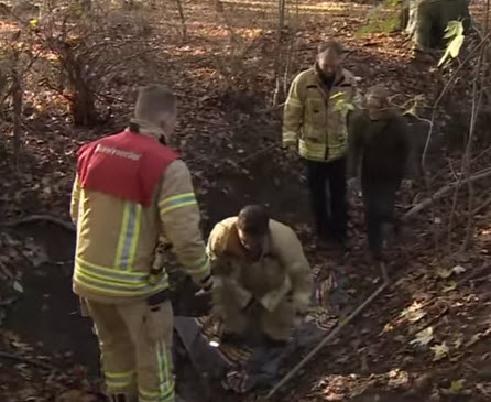 Teckel zit urenlang vast in ondergrondse buis Kralingse Bos