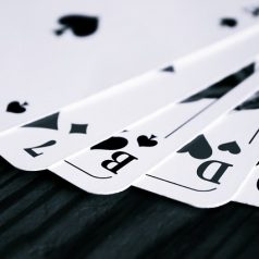55-Plus activiteiten mei 2017 in Kralingen-Crooswijk
