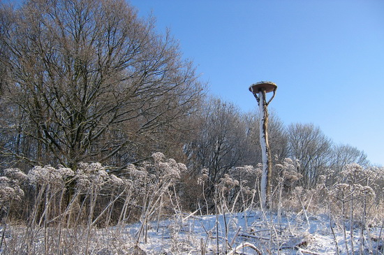 (Over)leven in de winter