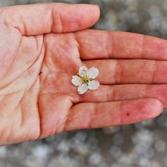 Mindfulness stiltedag bij Groeiparel op vrijdag 3 maart 2017