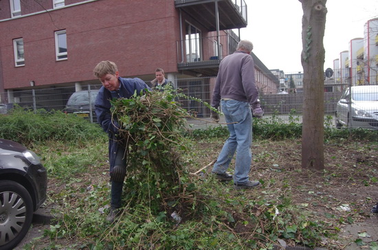 Groene vingers