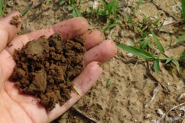 Gratis compost voor Rotterdammers