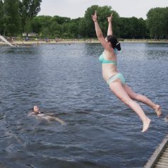 Nog geen blauwalg in Kralingse Plas