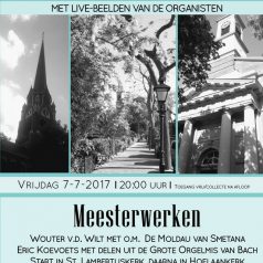 Meesters spelen meesterwerken bij het Hoflaan Wandelconcert