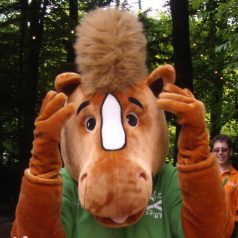 Het Circus komt naar het Kralingse Bos… kom je kijken?