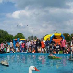 DWL De Esch: Zomerfeest & Wijkmarkt