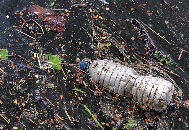 Oppositie is rotzooi in Rotterdamse parken spuugzat