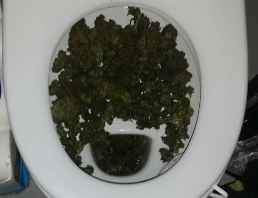 Man probeert kilo’s hennep door toilet te spoelen in Prins Alexander