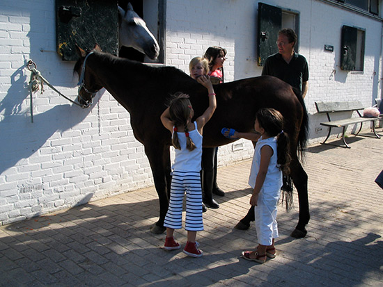 Kennismaking met de paardensport en historische hippische locatie