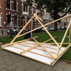 Wonderbaarlijke herrijzenis