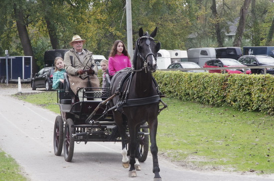 Werken als een paard… Dat kan jij ook!