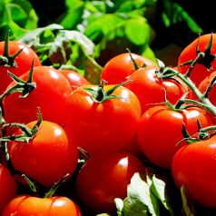 Petitie schrap BTW op biologische producten