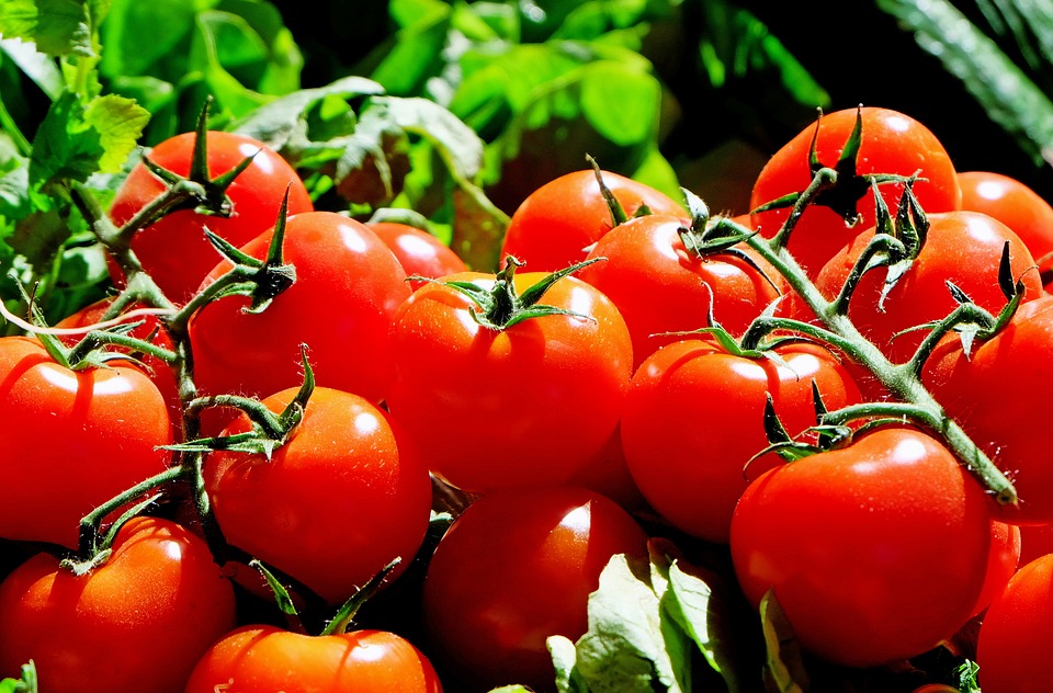 Petitie schrap BTW op biologische producten