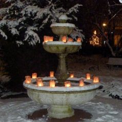 15 december: Lichtjesavond in de Botanische Tuin Kralingen