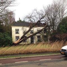 Grote schade Villa Landzicht door omgewaaide boom