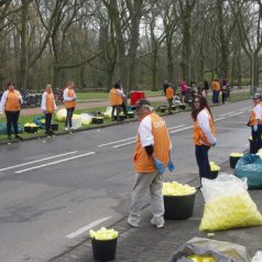 Marathon Rotterdam op en langs de Kralingse Plaslaan