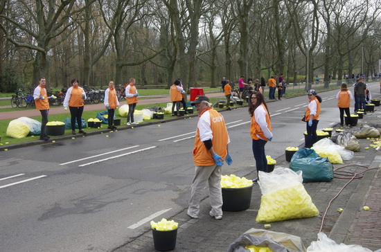 Marathon Rotterdam op en langs de Kralingse Plaslaan