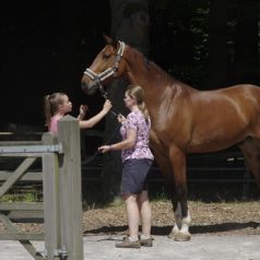 De Jockeyclub gekwalificeerd voor halve finale gedurende CHIO