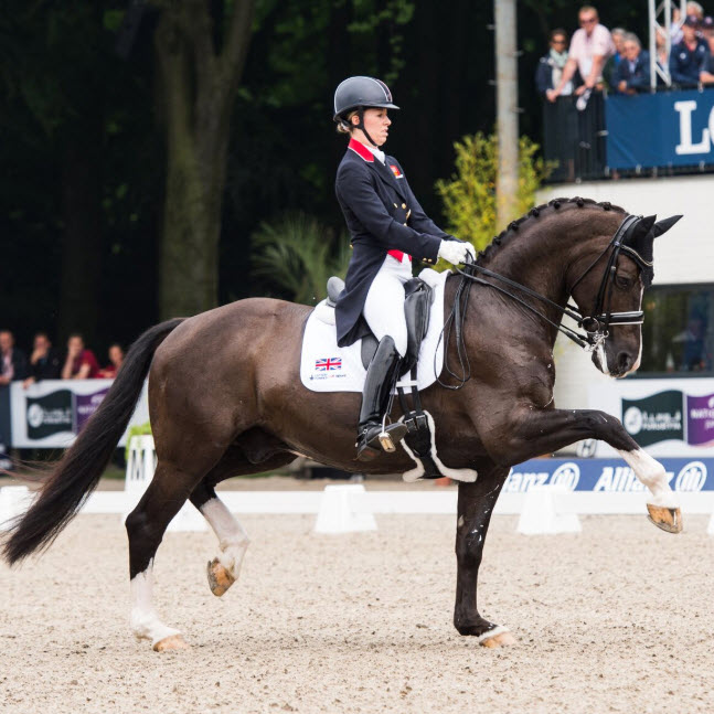 Wereldtop neemt deel aan 70ste CHIO Rotterdam