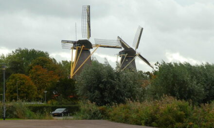 De Plasmolens – de Ster en de Lelie