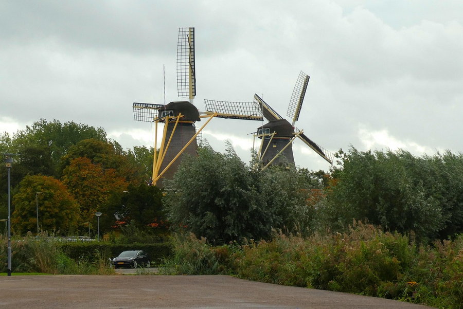 De Plasmolens – de Ster en de Lelie