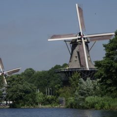 De Plasmolens – de Ster en de Lelie