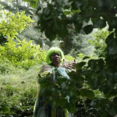 Midzomerfestival – Tuin der Huiveringen