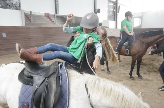 Vijf jaar Werken als een Paard