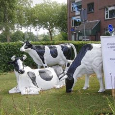 Bliksemactie tegen straatvuil