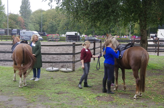 Kennismaking met de paardensport bij Rotterdamsche Manège in Kralingen