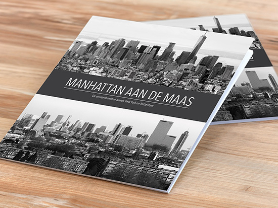 Is Rotterdam het ‘Manhattan aan de Maas’?