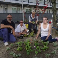‘Het was een grote baggerzooi’