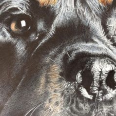 Artist Talk in de Pauluskerk: met Jeroen Graus en Ainine