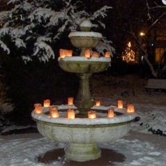 Vrijdag 14 december: Lichtjesavond in de Botanische Tuin Kralingen