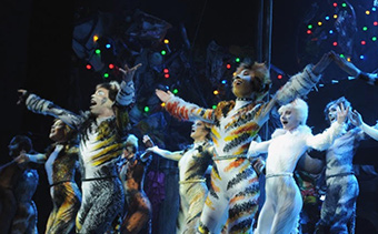 Cats is een grootse show