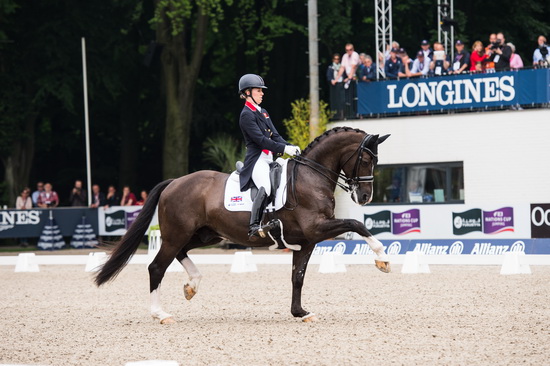 Peter Goedvolk en Arco van Nieuwland versterken bestuur FEI Europese Kampioenschappen 2019 en CHIO Rotterdam