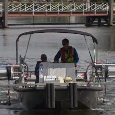 Aanpak blauwalg Kralingse Plas duurt langer