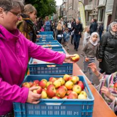 Organisatie van Noord4Daagse 2019 op zoek naar vrijwilligers