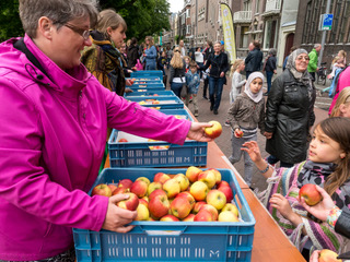 Organisatie van Noord4Daagse 2019 op zoek naar vrijwilligers