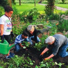 Heb je de Wijktuin in De Esch al gezien?