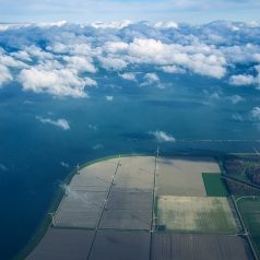 Waterschapsverkiezingen 2019