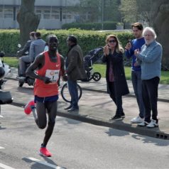 Marathon op Kralingse Plaslaan