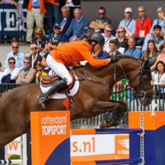 Paarden en studenten