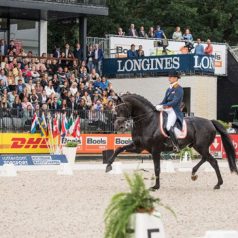 Verkeersmaatregelen i.v.m. Europese kampioenschappen springen, dressuur en para-dressuur in Kralingse Bos