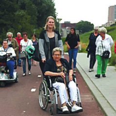 Nieuwe meldingen voor Wijksteun