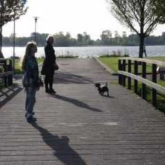 Politiek stelt vragen over afsluiting paden in Kralingse Bos